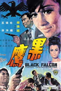 The Black Falcon - Poster / Capa / Cartaz - Oficial 1