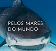 Pelos Mares do Mundo