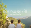 Des Oranges en Été