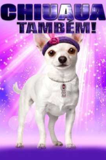 Chiuaua também! (Chihuahua Too!)