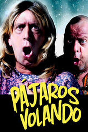 Poster de Filme Pájaros volando (2010)