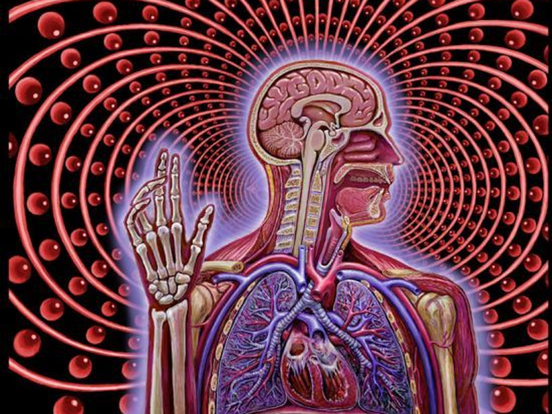 Foto 2 de Tool: Parabola