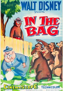 IN THE BAG (IN THE BAG)