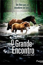 O Grande Encontro (Pom, Le Poulain)