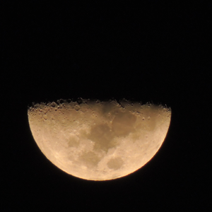 Foto de perfil de Alex