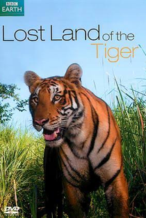 O Tigre Siberiano - Poster / Capa / Cartaz - Oficial 1