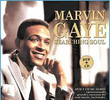 Marvin Gaye - Searching Soul
