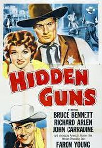 Assassino Oculto (Hidden Guns)