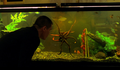 “Oldboy”: 4 novas imagens online