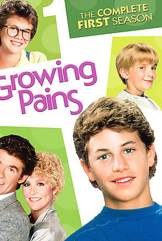 Poster 3 de Série Tudo em Família (1ª Temporada) (1985)