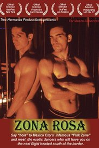 Poster 1 de Filme Zona Rosa (2005)