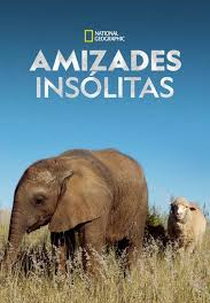 Amizades Insólitas (Unlikely Animal Friends)