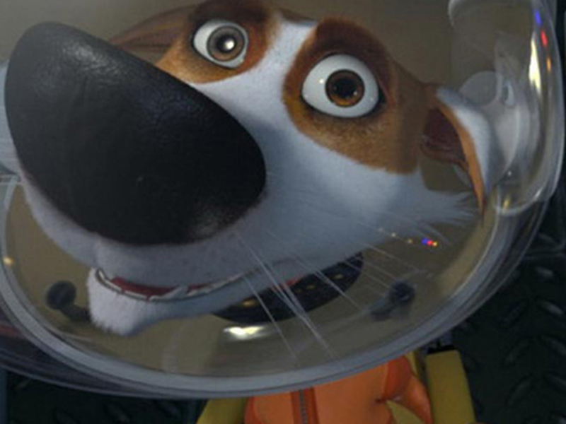 Foto 9 de Cãestronautas