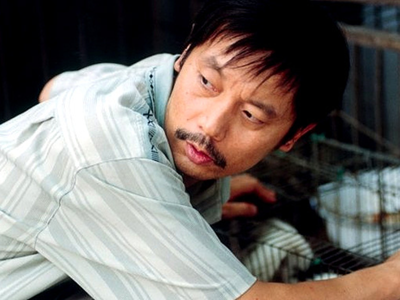 Foto 6 de Cala, My Dog!