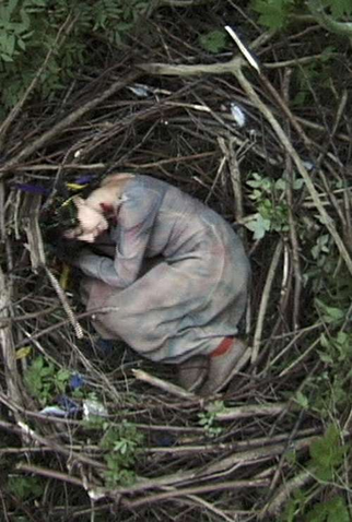 Poster 1 de Curta Why Not a Sparrow (2002)