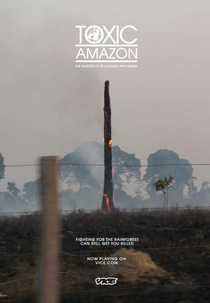 TOXIC AMAZON: uma crônica de mortes anunciadas (TOXIC AMAZON: uma crônica de mortes anunciadas)