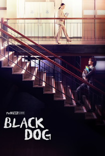 Black Dog - Poster / Capa / Cartaz - Oficial 3