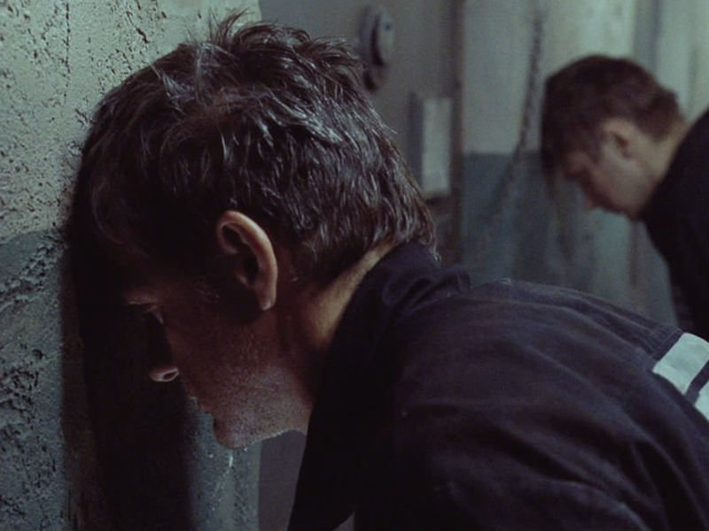 Foto 1 de Terra Nova