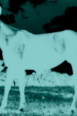 Umbra (Umbra)