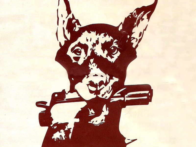 Foto 1 de Mundo Cão