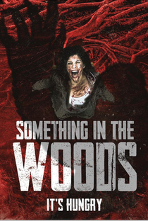 Something in the Woods - Poster / Capa / Cartaz - Oficial 1