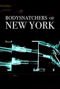 Bodysnatchers of New York - Poster / Capa / Cartaz - Oficial 1
