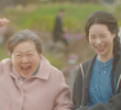 운명의 고리