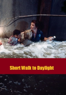 Fuga para a Luz do Dia (Short Walk to Day Light)