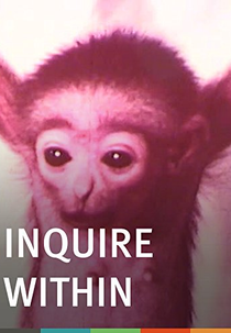 Inquire Within (Inquire Within)