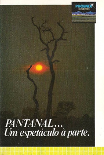 Pantanal... Um Espetáculo à Parte - Poster / Capa / Cartaz - Oficial 1