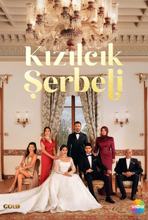 Kizilcik Serbeti - Poster / Capa / Cartaz - Oficial 1