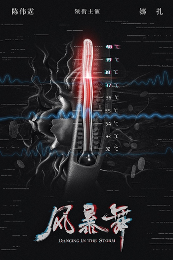 Poster de Franquia 风暴舞 (2021)