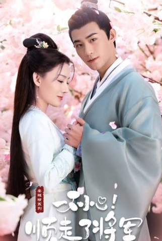 Poster 1 de Série Follow My Dear General (2022)