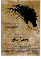 O Corcel Negro (The Black Stallion)