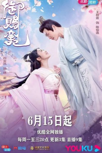 Poster de Série Imperial Concubine (2020)