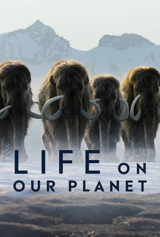 Poster 3 de Série A Vida no Nosso Planeta (2023)