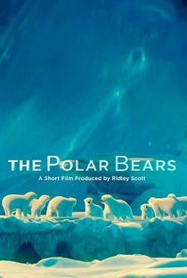 The Polar Bears - Poster / Capa / Cartaz - Oficial 1