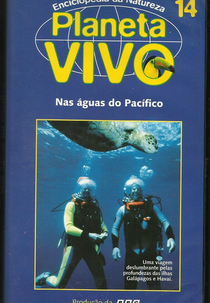 Planeta Vivo - Nas Águas do Pacífico (The Waters of the Pacific)