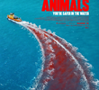 Animais Perigosos