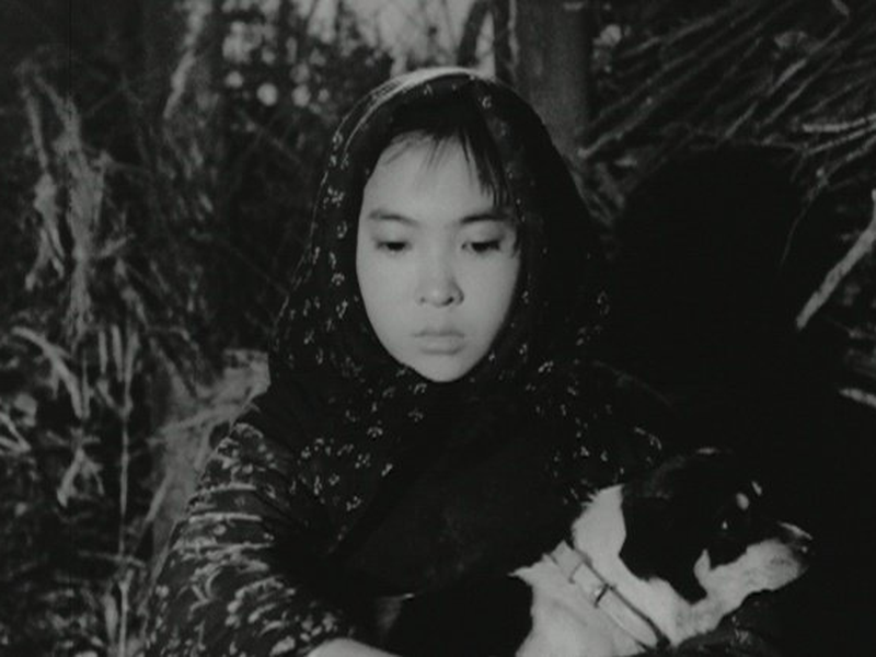 Foto 1 de Nobody's Child