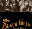 A Tulipa Negra