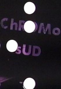 Chromo sud (Chromo sud)