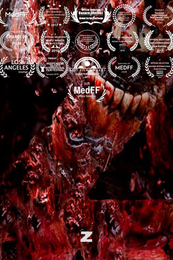 Poster de Filme Z (2020)