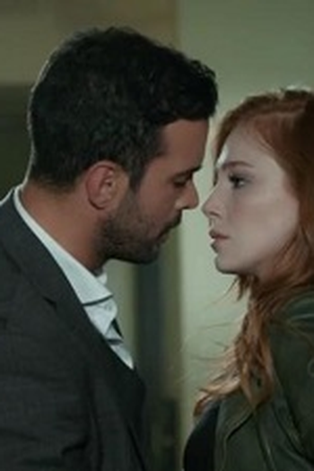 Poster de Episódio 17. Bölüm (2015)