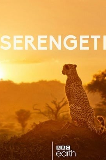 Poster de Série Serengeti (2019)