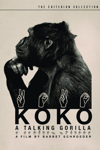 Poster de Filme Koko: A Talking Gorilla (1977)