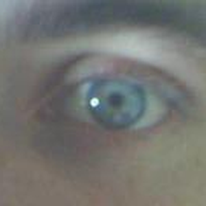 Foto de perfil de Rogério