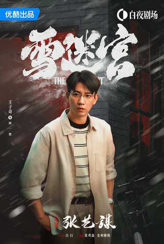 Poster 4 de Série The First Shot (2024)