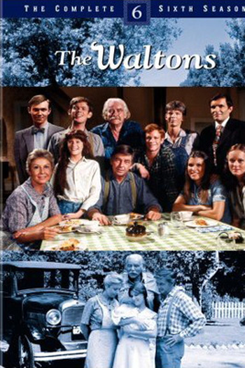 Poster de Série Os Waltons (6ª Temporada) (1977)