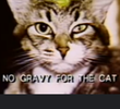 No Gravy for the Cat